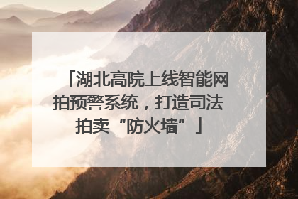 湖北高院上线智能网拍预警系统，打造司法拍卖“防火墙”