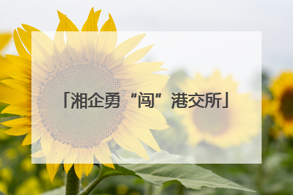 湘企勇“闯”港交所