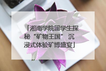 湘南学院留学生探秘“矿物王国” 沉浸式体验矿博盛宴