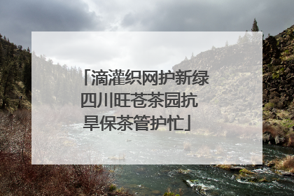 滴灌织网护新绿 四川旺苍茶园抗旱保茶管护忙