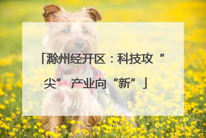 滁州经开区：科技攻“尖” 产业向“新”