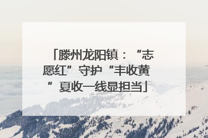 滕州龙阳镇：“志愿红”守护“丰收黄”夏收一线显担当