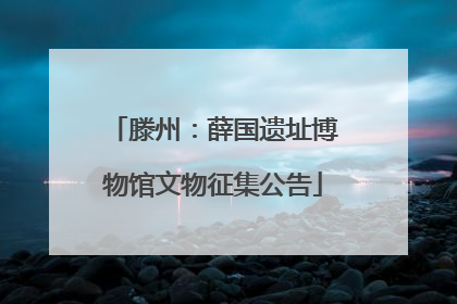 滕州：薛国遗址博物馆文物征集公告