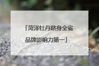 菏泽牡丹跻身全省品牌影响力第一