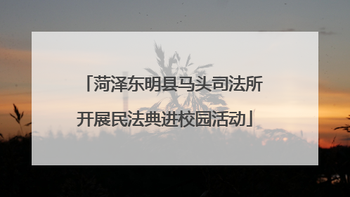 菏泽东明县马头司法所开展民法典进校园活动