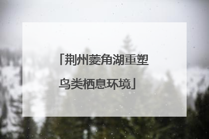 荆州菱角湖重塑鸟类栖息环境