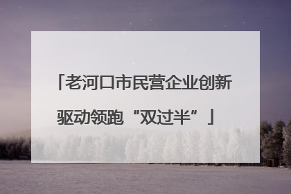 老河口市民营企业创新驱动领跑“双过半”