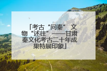 考古“问秦” 文物“述往”——甘肃秦文化考古二十年成果特展印象