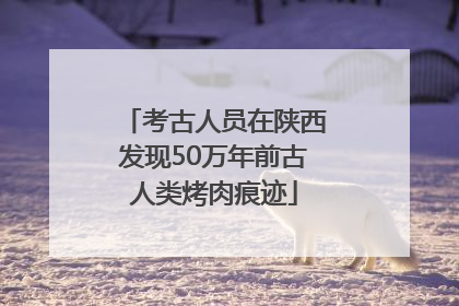 考古人员在陕西发现50万年前古人类烤肉痕迹