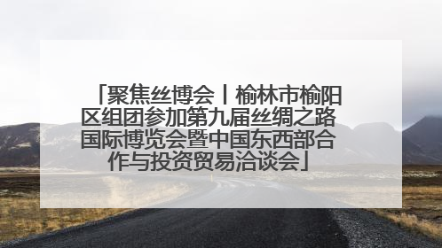 聚焦丝博会丨榆林市榆阳区组团参加第九届丝绸之路国际博览会暨中国东西部合作与投资贸易洽谈会