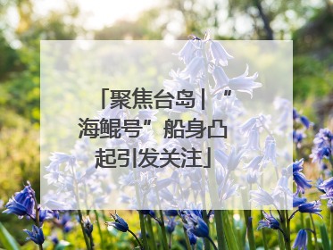 聚焦台岛│“海鲲号”船身凸起引发关注
