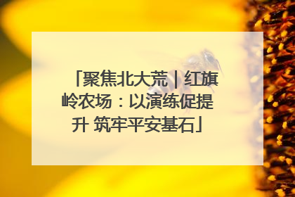 聚焦北大荒｜红旗岭农场：以演练促提升 筑牢平安基石