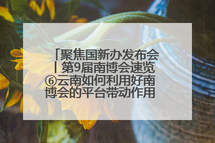 聚焦国新办发布会丨第9届南博会速览⑥云南如何利用好南博会的平台带动作用，深化与南亚国家的交流与合作？