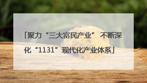 聚力“三大富民产业” 不断深化“1131”现代化产业体系