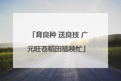 育良种 送良技 广元旺苍稻田插秧忙