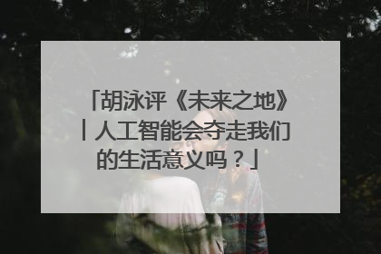 胡泳评《未来之地》︱人工智能会夺走我们的生活意义吗？