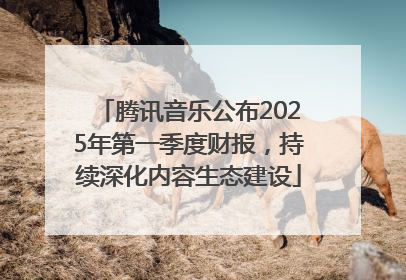 腾讯音乐公布2025年第一季度财报，持续深化内容生态建设