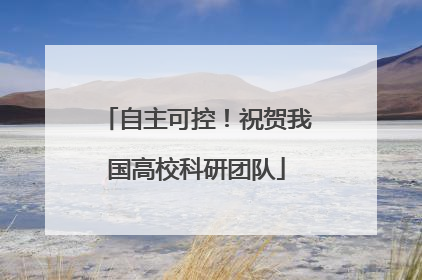 自主可控！祝贺我国高校科研团队