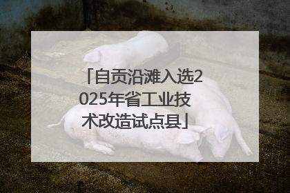 自贡沿滩入选2025年省工业技术改造试点县
