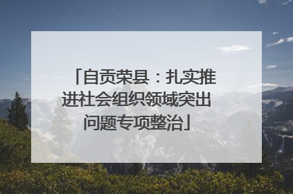 自贡荣县：扎实推进社会组织领域突出问题专项整治
