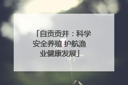 自贡贡井：科学安全养殖 护航渔业健康发展