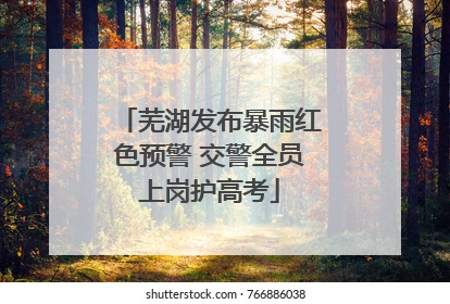 芜湖发布暴雨红色预警 交警全员上岗护高考