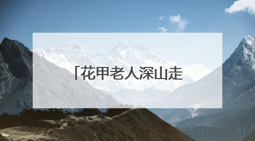 花甲老人深山走失，福建三明消防队员携搜救犬历十天营救成功