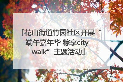 花山街道竹园社区开展“端午嘉年华 粽享city walk”主题活动