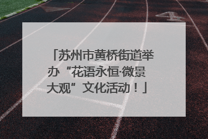 苏州市黄桥街道举办“花语永恒·微景大观”文化活动！