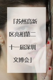 苏州高新区亮相第二十一届深圳文博会