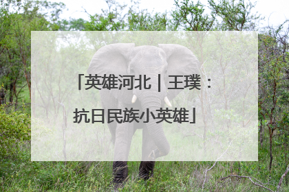 英雄河北｜王璞：抗日民族小英雄