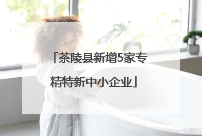 茶陵县新增5家专精特新中小企业