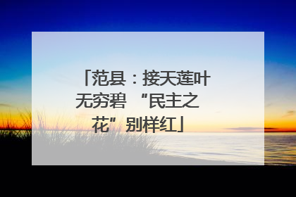 范县：接天莲叶无穷碧 “民主之花”别样红