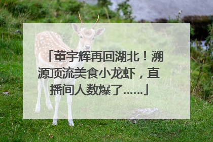 董宇辉再回湖北！溯源顶流美食小龙虾，直播间人数爆了……