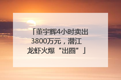 董宇辉4小时卖出3800万元，潜江龙虾火爆“出圈”