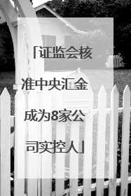 证监会核准中央汇金成为8家公司实控人