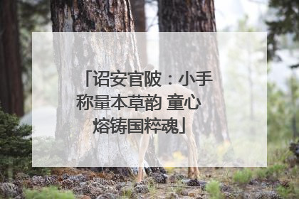诏安官陂：小手称量本草韵 童心熔铸国粹魂