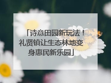 诗意田园新玩法！礼贤镇让生态林地变身惠民新乐园