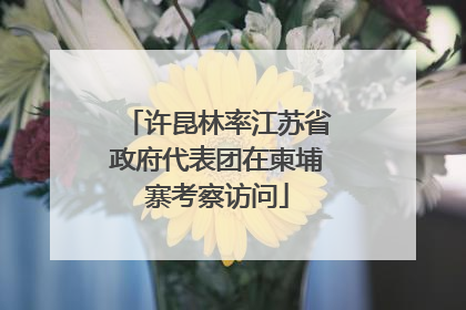 许昆林率江苏省政府代表团在柬埔寨考察访问