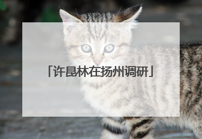 许昆林在扬州调研