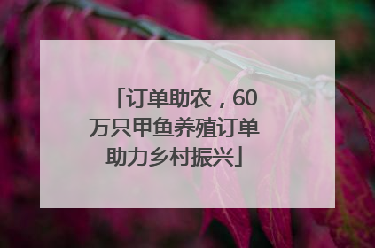 订单助农，60万只甲鱼养殖订单助力乡村振兴