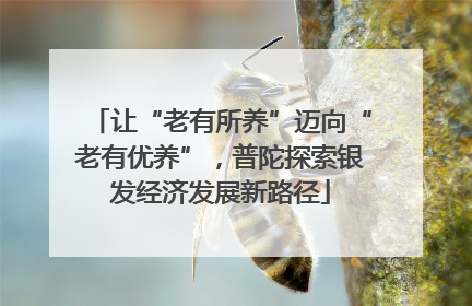 让“老有所养”迈向“老有优养”，普陀探索银发经济发展新路径