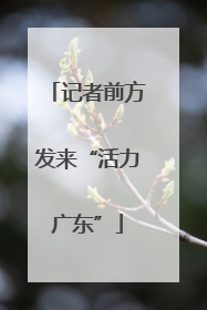 记者前方发来“活力广东”