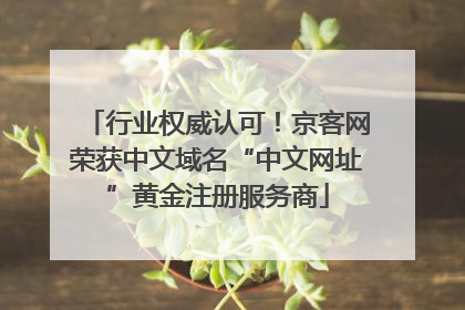 行业权威认可！京客网荣获中文域名“中文网址”黄金注册服务商