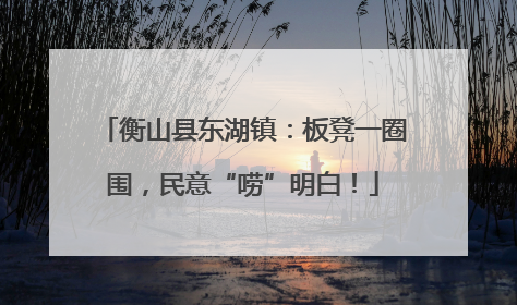 衡山县东湖镇：板凳一圈围，民意“唠”明白！