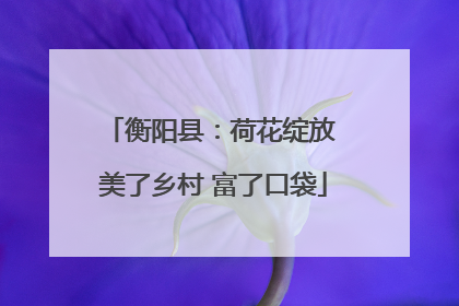 衡阳县：荷花绽放 美了乡村 富了口袋