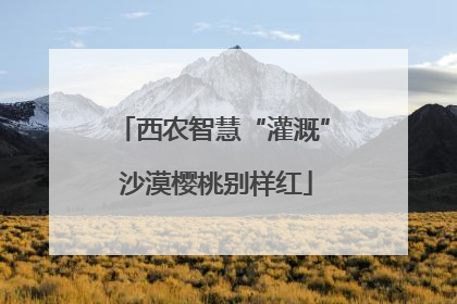 西农智慧“灌溉” 沙漠樱桃别样红