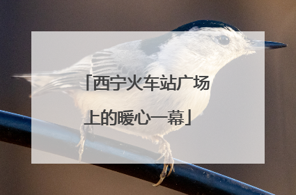 西宁火车站广场上的暖心一幕