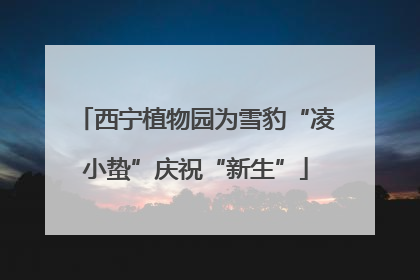 西宁植物园为雪豹“凌小蛰”庆祝“新生”