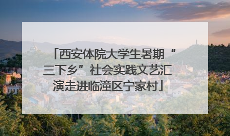 西安体院大学生暑期“三下乡”社会实践文艺汇演走进临潼区宁家村